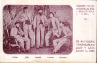 Predtelovadci južnega sokola 1864 III. slovenski vsesokolski zlet 1913