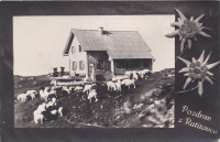 RATITOVEC 1964 - Planinski dom
