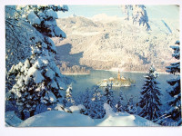 Razglednica BLED (111)