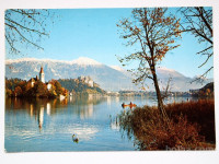 Razglednica BLED (45)
