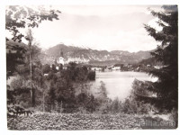 Razglednica BLED (85)
