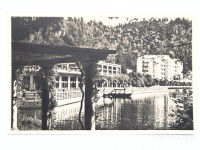 Razglednica BLED (90)