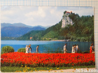 Razglednica BLED