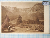 Razglednica BOHINJ