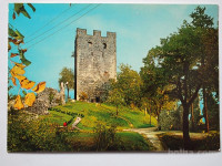 Razglednica CELJE (16)