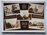Razglednica CELJE (6)