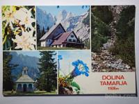 Razglednica DOLINA TAMARJA