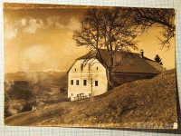Razglednica GORA OLJKA