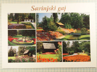 Razglednica SAVINJSKI GAJ
