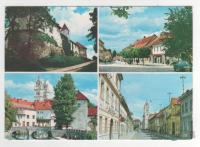 RIBNICA na DOLENJSKEM - Grad & mesto na štirih slikicah