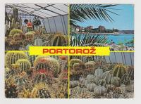 Seča Portorož vrt kaktusov 1984