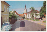 Šentjernej Dolenjska hrošč