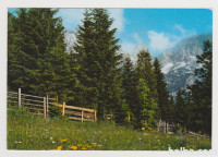 Slovenija in njene gore