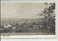 SLOVENSKE KONJICE