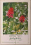 Snežniško cvetje, Rdeča Murka, 1998 Slovenija
