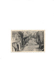 Šoštanj-1907 (719)