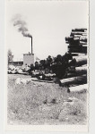 Straža pri Novem mestu, NOVOLES lesna industrija Novo mesto