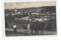 Trebnje, ok. 1910, Dolenjsko, Dolenjska, zal. J. Rožun, Litija, vprega
