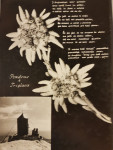 TRIGLAV 1961