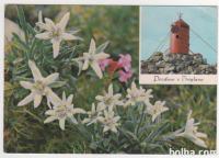 TRIGLAV 1969 - Aljažev stolp z zvezdo & planike