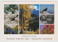 TRIGLAVSKI NARODNI PARK KRALJESTVO ZLATOROGA