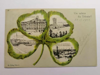 TRST 1902 - Deteljica