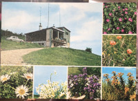 Tumova koča na Slavniku,poslana 1990 in odlično ohranjena