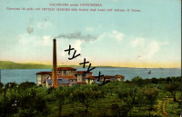 Valdoltra presso Capodistria, ok. 1916, bolnišnica, Ospizio Marino