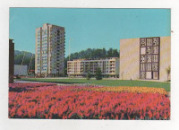 VELENJE - Center mesta, rože