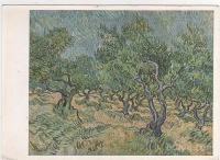 VINCENT VAN GOGH - Olive orchard