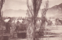 VRBA NA GORENJSKEM - Panorama