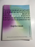 Poklicna matura književnost