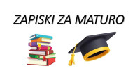 Zapiski za maturo iz slovenščine