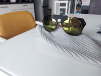 Alpina očala za v gore smučanje