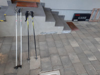 Smučarske palice, alpske in tekaške