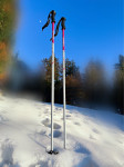 Smucarske palice GABEL Luna, velikost 105cm
