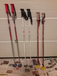 Smučarske palice