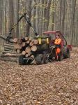 GOLJAT mala gozdarska prikolica 2t VAHVA JUSSI 320 ATV traktor UTV