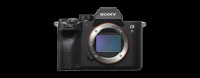 Sony a7R4, FullFrame 61MPix,