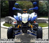 Access Motor BASHAN ORGINAL 200 ali 250 XXL..., letnik 2011, ,