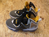 Superge za košarko Nike Lebron XIX 19 - velikost 41