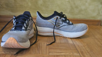Mizuno Wave Rider 29