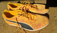 Sprintarice Puma evoSPEED Star 8, št39