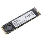 M.2 256 GB Intenso