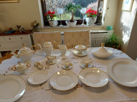 Rosenthal Bavaria pogrinjek