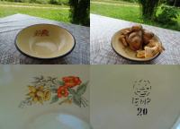 SKODELICA EMAJL IEMP