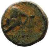 LaZooRo: Grčija - Selevki - AE14 Antioha IV. (175-164 pr.n.š), slon