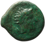 LaZooRo: grčija - Sicilija - AE18 iz Triasa (pred 405 pr.n.št.) bik