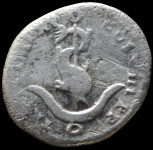 LaZooRo: Rim - AR Denarius Tita kot Avgusta (79 - 81 n. št.), delfin