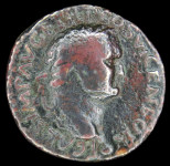 LaZooRo: Rimsko cesarstvo - AE As Tita kot Cezarja (79 - 81 AD), SC